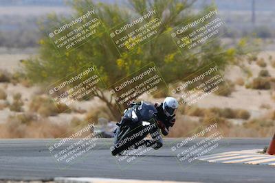 media/Apr-10-2022-SoCal Trackdays (Sun) [[f104b12566]]/Turn 5 Tree of Life (1040am)/